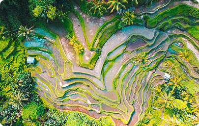photo indonesia